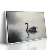 Black Swan Glides Through Morning Fog