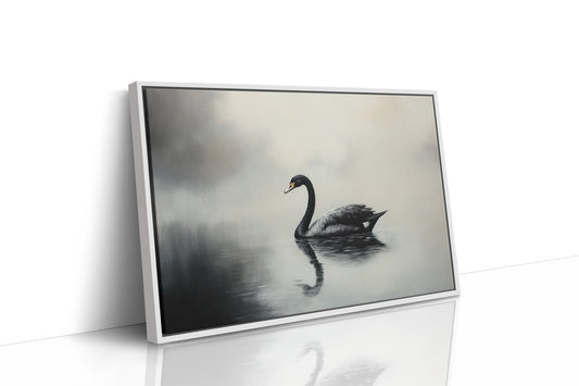 Black Swan Glides Through Morning Fog