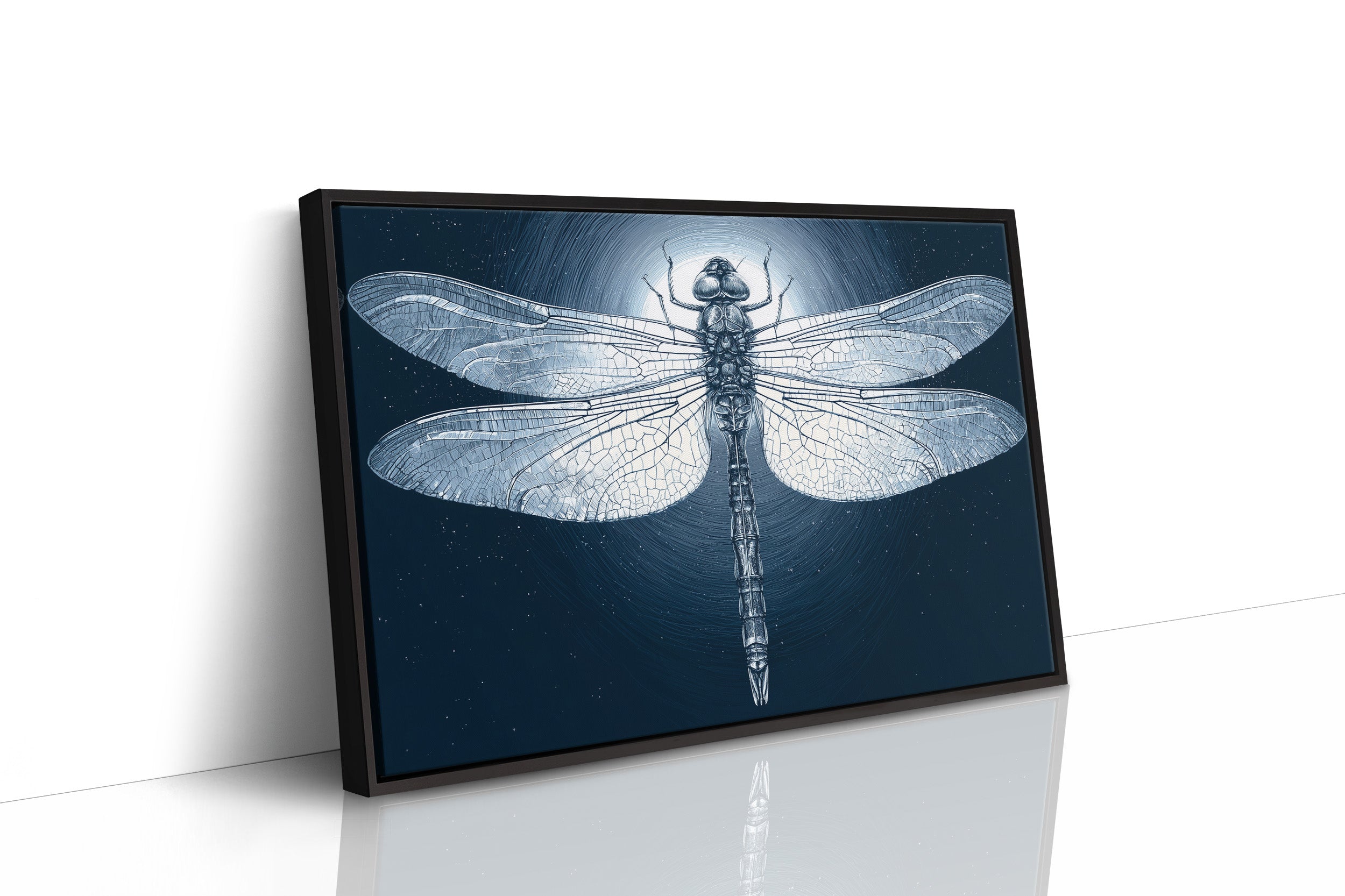Dragonfly by Moonlight