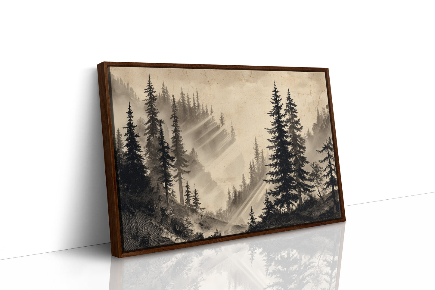 Misty Pines Catch Mountain Light