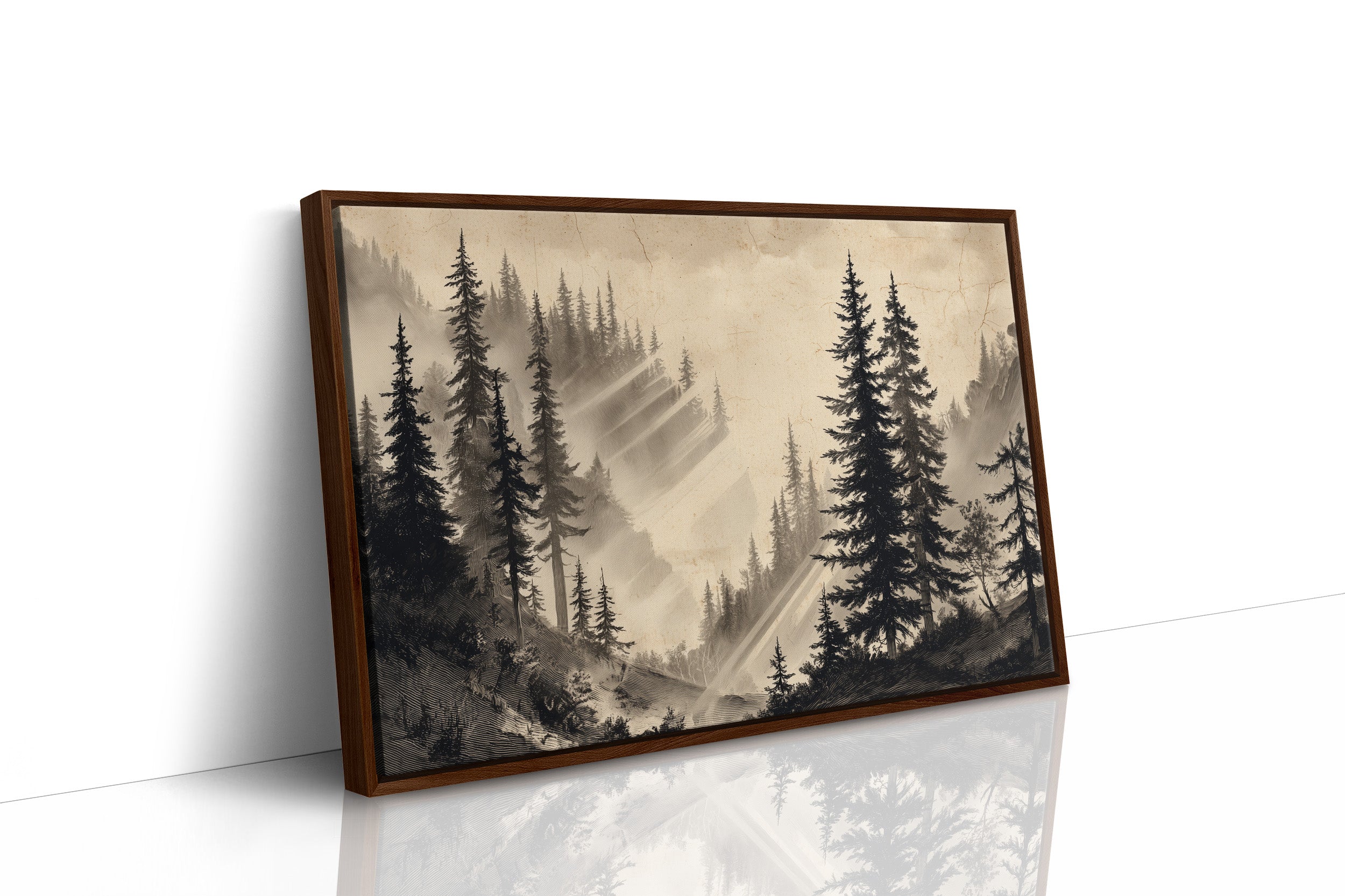 Misty Pines Catch Mountain Light