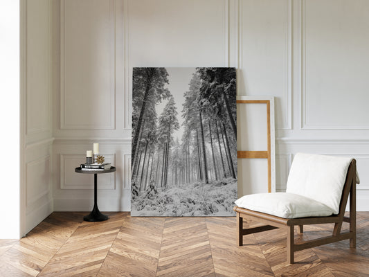 Beneath the Silent Canopy