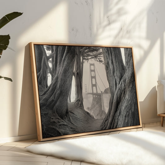 Ancient Trees Frame City Dreams