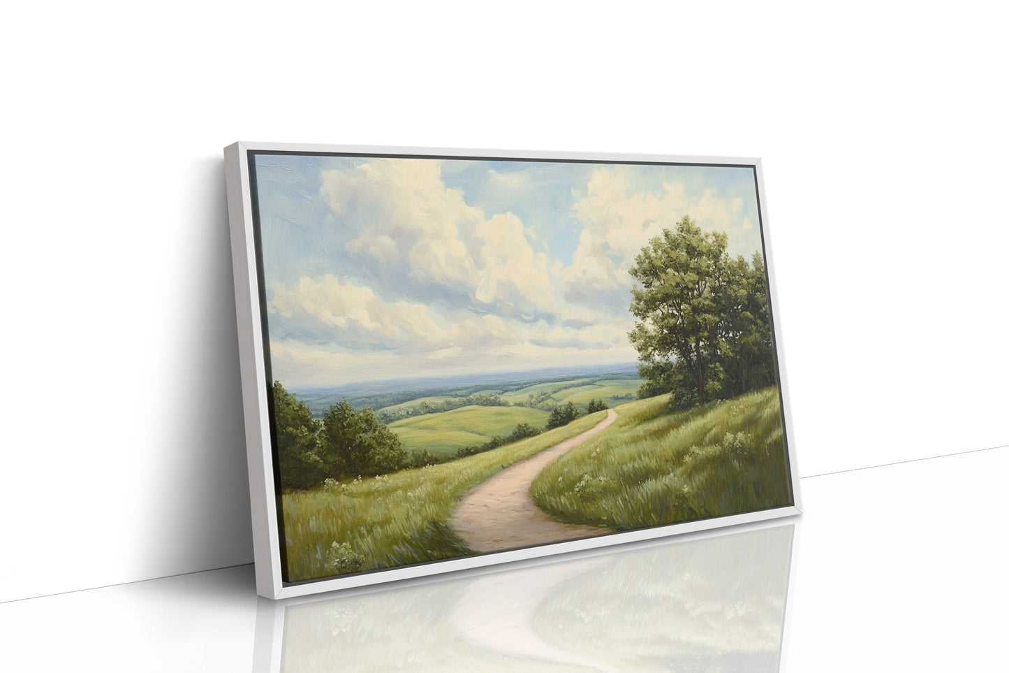 Summer Path Through Rolling Meadows
