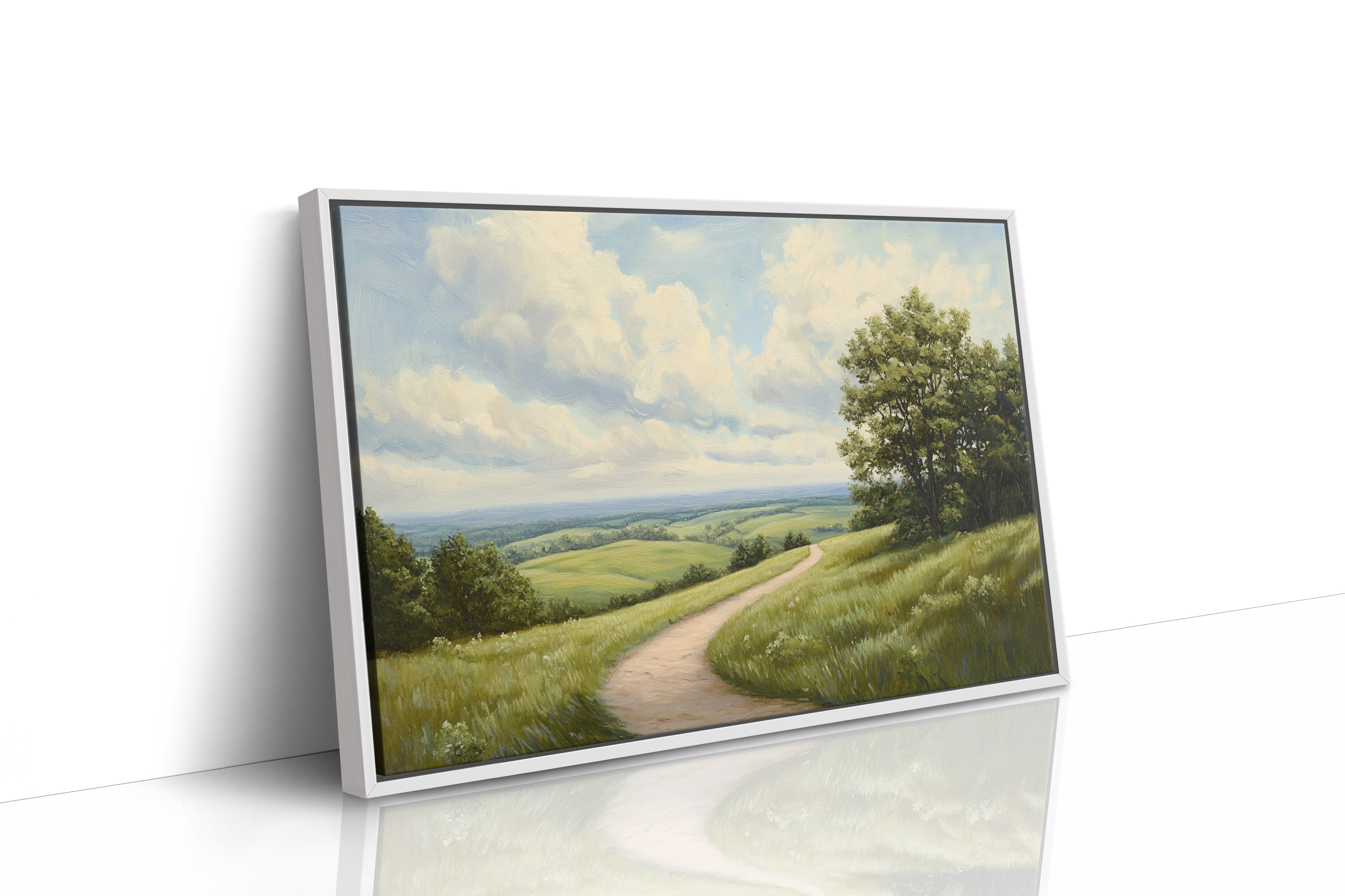 Summer Path Through Rolling Meadows