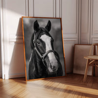 Gentle Spirit
