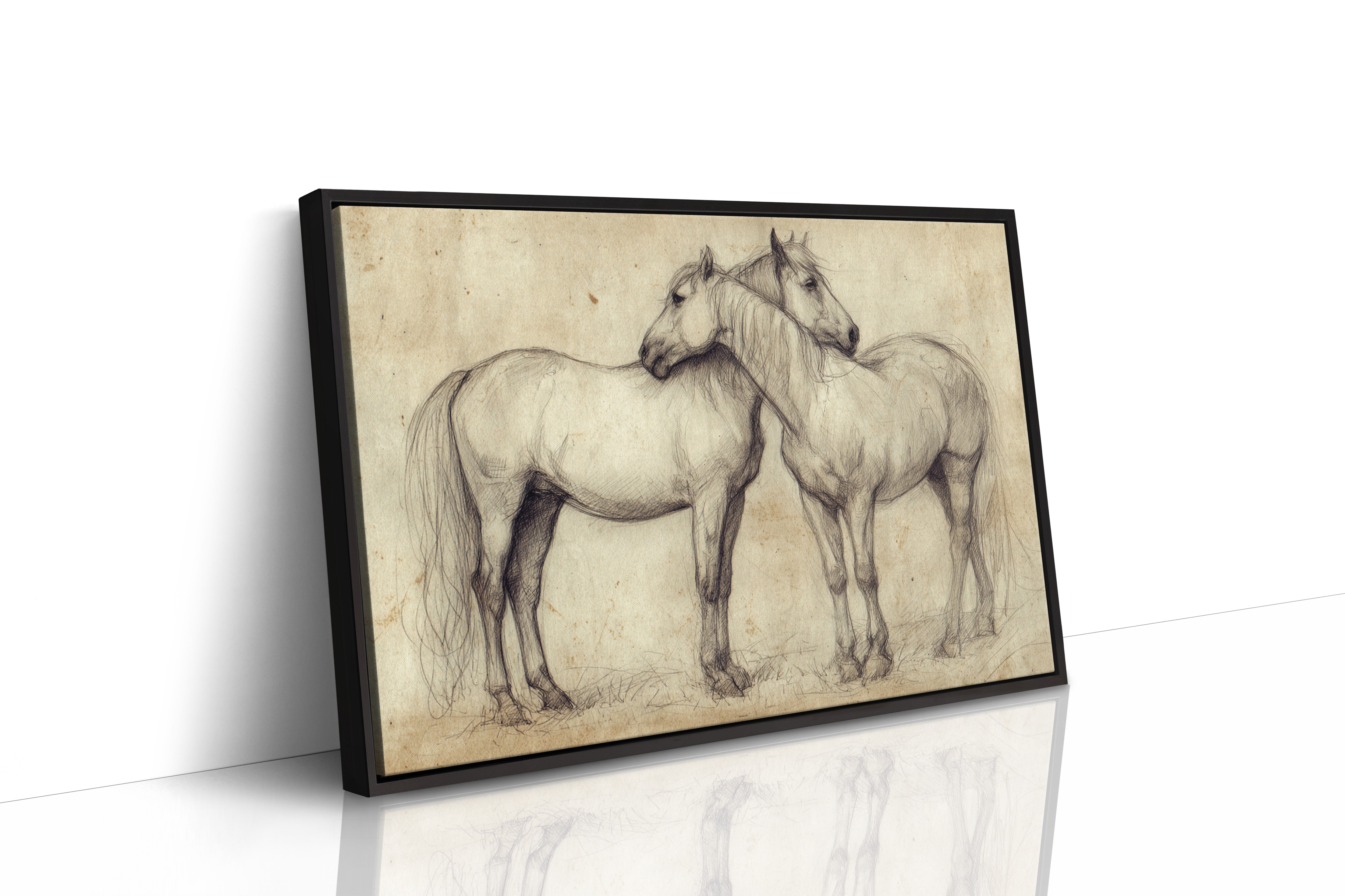 Equine Companionship Study