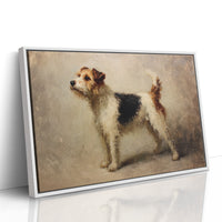 Noble Fox Terrier Stands Alert