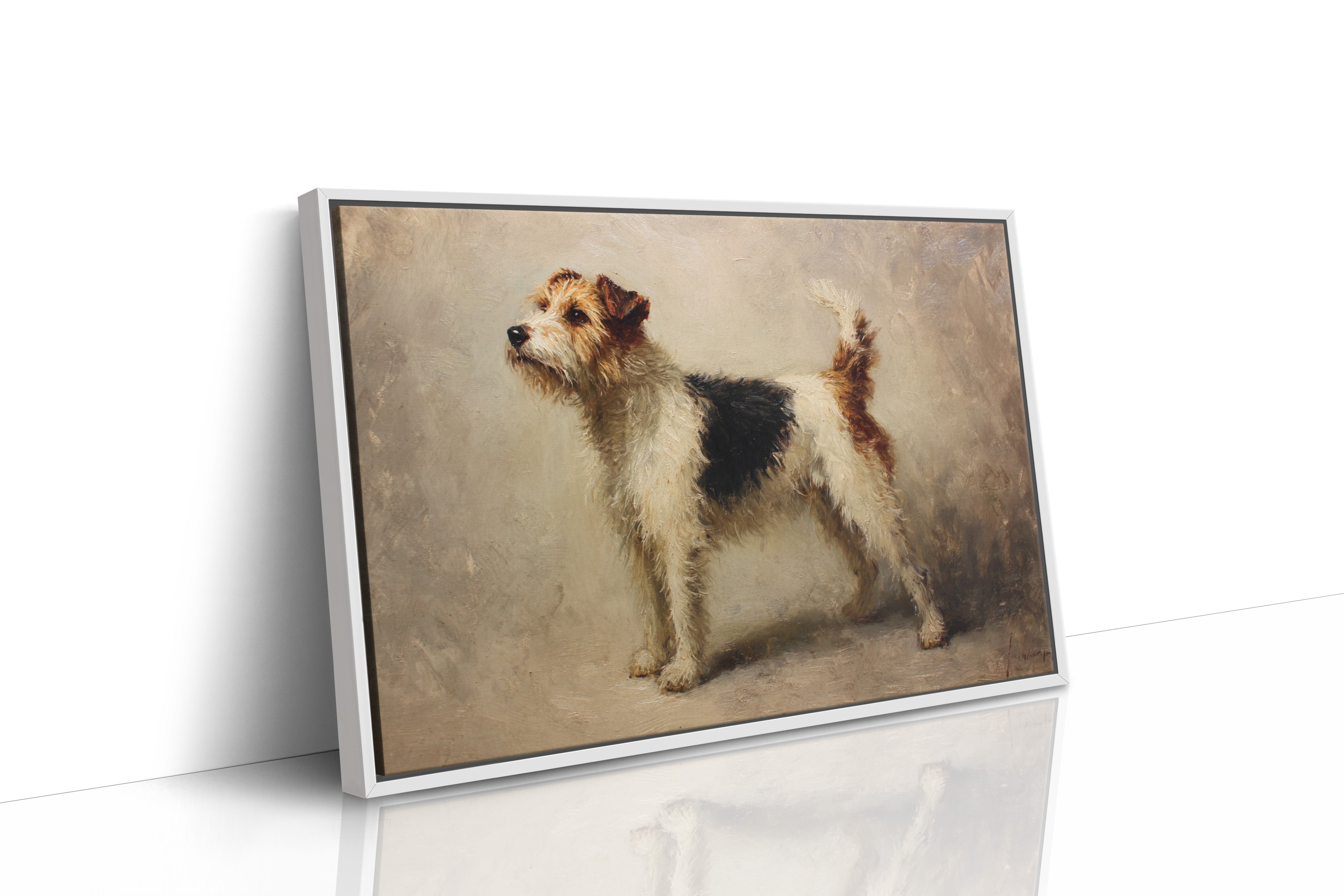 Noble Fox Terrier Stands Alert