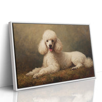 Noble Poodle Rests In Autumn Light