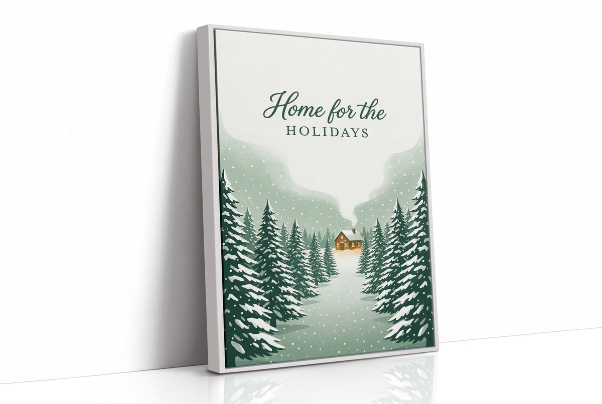 Home for the Holidays: Driveway Not Shoveled