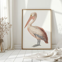 Beneath A Soft Feathered Gaze