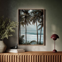 Tides Dance Beneath Tall Palms