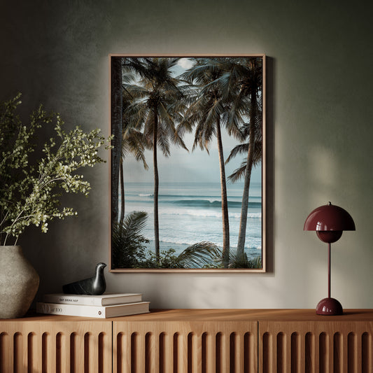 Tides Dance Beneath Tall Palms