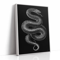 Midnight Scales In Silver Light