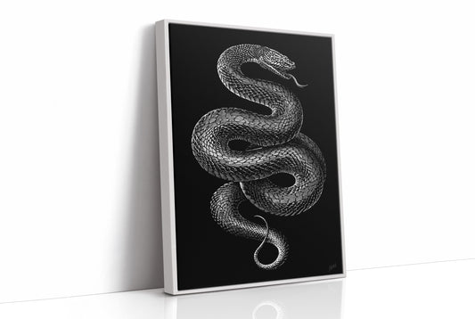 Midnight Scales In Silver Light