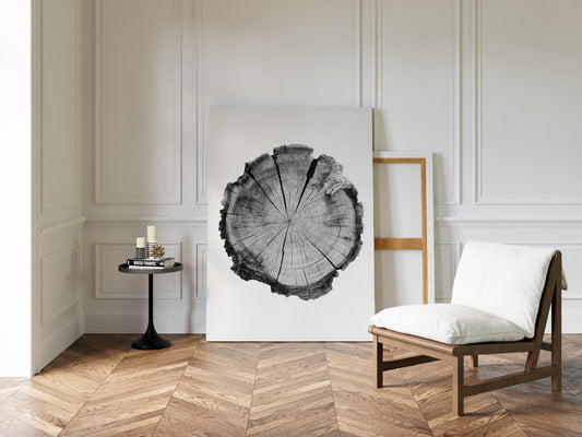 Textured Tree Ring Study