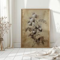 Harvesting Memories in Brown Tones