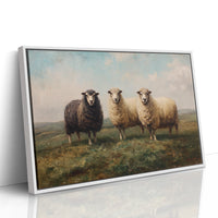 Three Sheep Stand Watch At Dawn