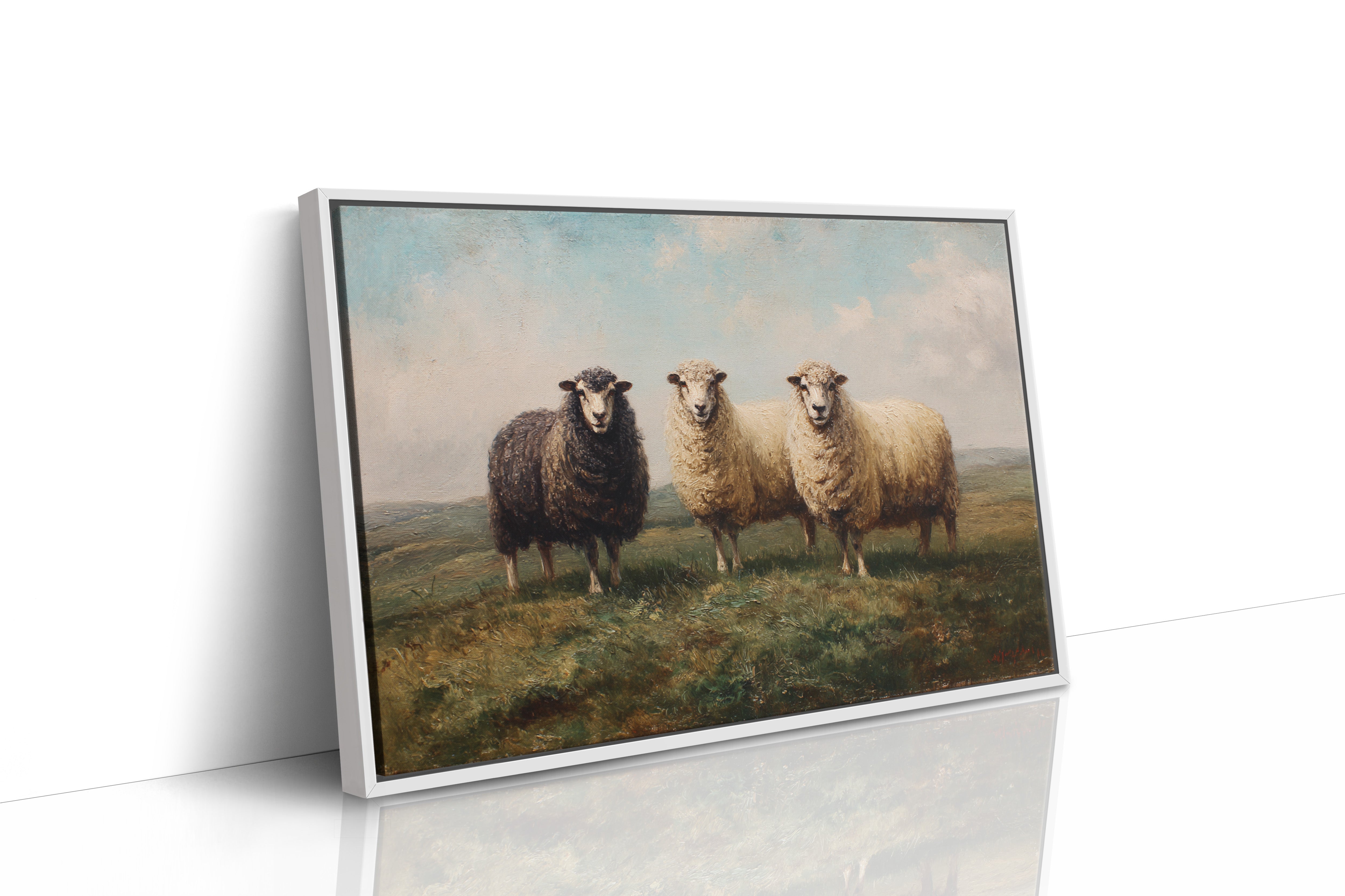 Three Sheep Stand Watch At Dawn