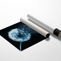 Dandelion Becomes Stardust