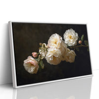 Roses Among Literary Treasures