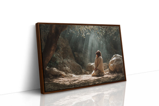 Sunbeams Pierce The Forest Silence