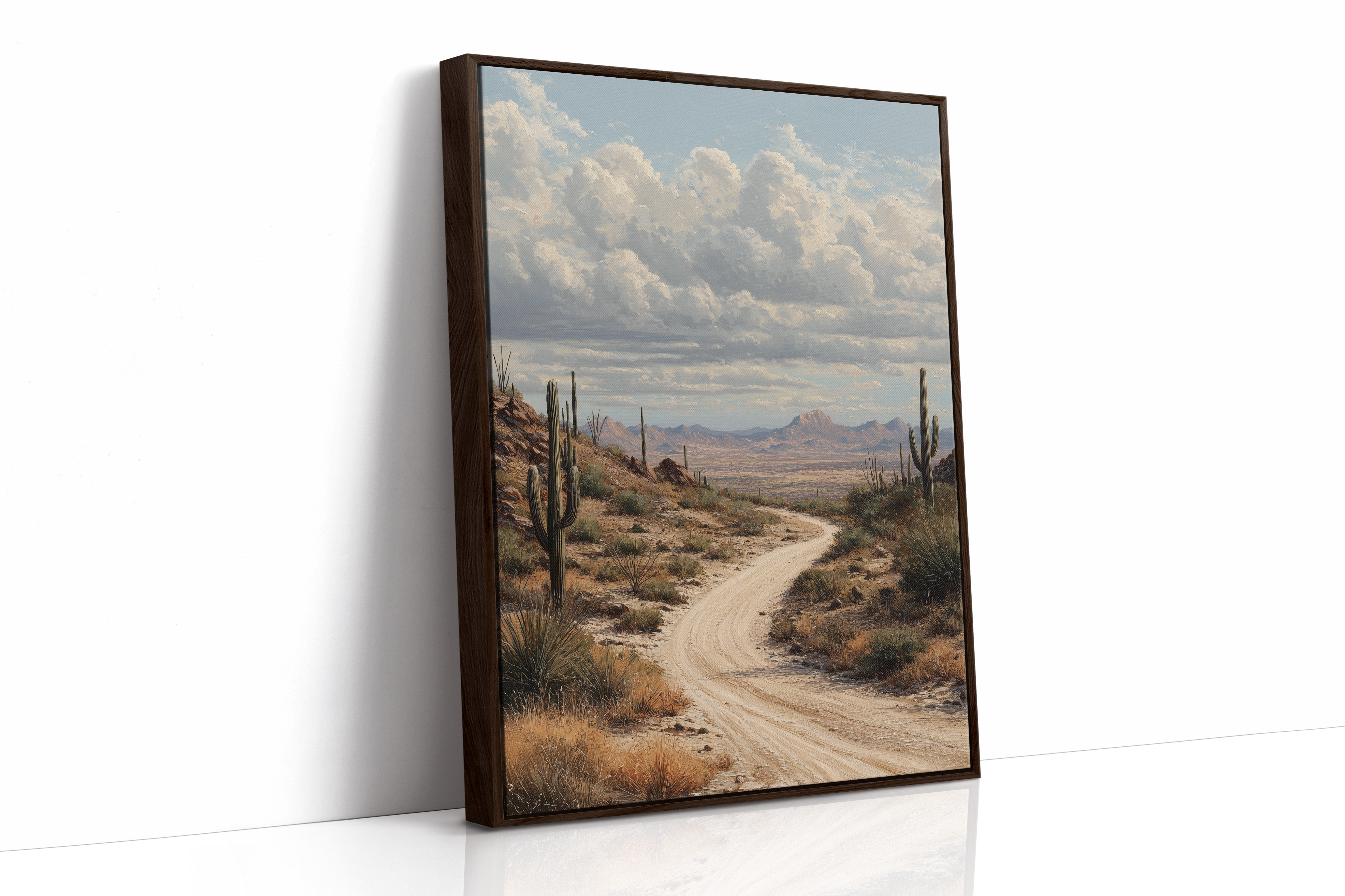 Winding Path Through Sonoran Majesty