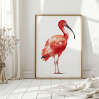 Crimson Elegance in Stillness