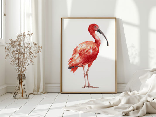 Crimson Elegance in Stillness