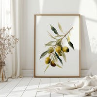 Harvested From Sunlit Groves