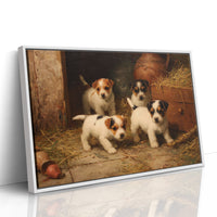 Terrier Pups Plot Barn Adventures