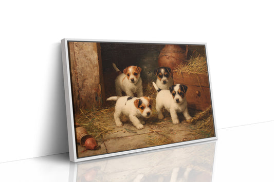 Terrier Pups Plot Barn Adventures