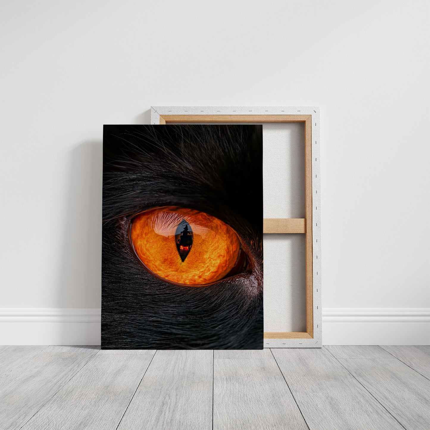 What the Cat's Eye Saw