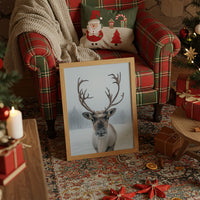 December's Gentle Northern Prince