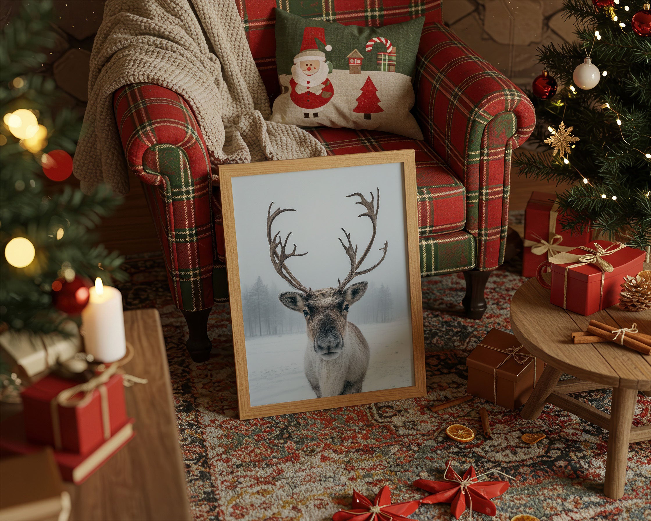 December's Gentle Northern Prince