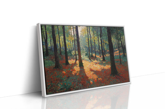 Autumn Light Dances Through Trees