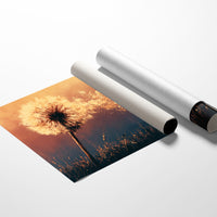 Dandelion Ablaze at Dusk