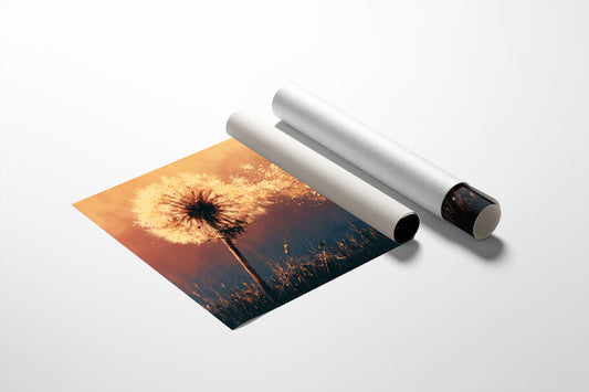 Dandelion Ablaze at Dusk