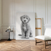 Curly Coat and Kind Eyes