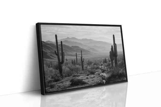 Guardians of the Desert