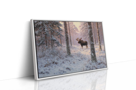 Winter's Light Finds Northern King