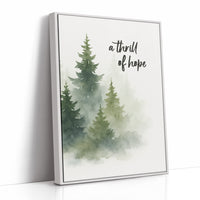 Evergreens Carry Quiet Promises
