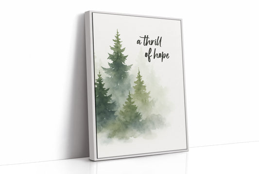 Evergreens Carry Quiet Promises