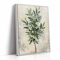 Olive Branch, Fruit and Leaf