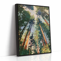 Sunlit Pines Rising