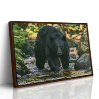 Black Bear at the Water's Edge