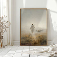 Guiding Light Through Misty Fields