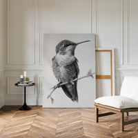 The Stillness of Feathered Grace
