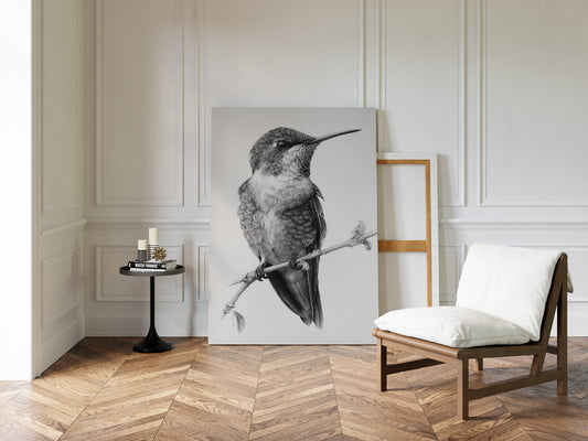 The Stillness of Feathered Grace